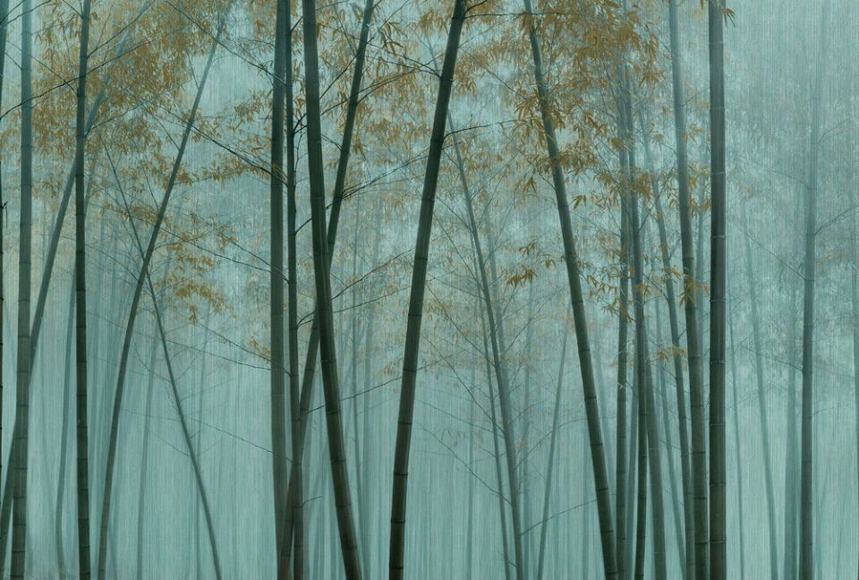 Architects Paper Fototapete Walls by Patel 3