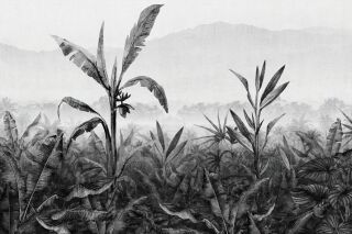 AP Digitaldruck Vinyltapete BANANA PLANTATION II