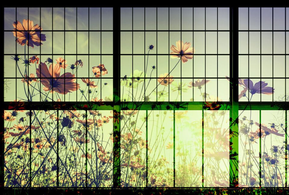 Architects Paper Fototapete Walls by Patel 2
