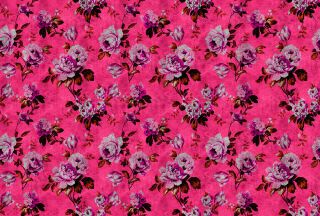 AP Fototapete Walls by Patel 2, Wildroses, Pink (DD113907)