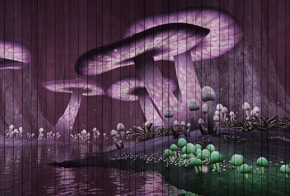 Architects Paper Fototapete Walls by Patel 2