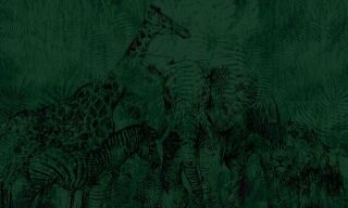 AP Digitaldruck Vinyltapete WILDLIFE