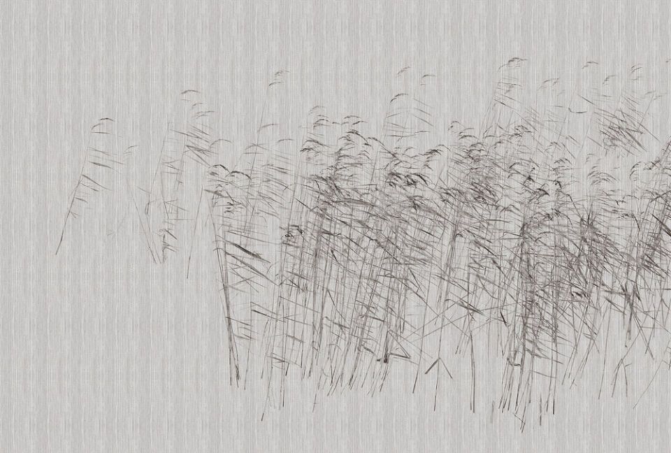 Architects Paper Fototapete Walls by Patel 3