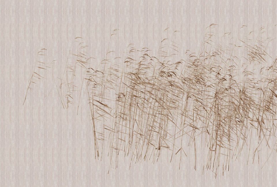 Architects Paper Fototapete Walls by Patel 3