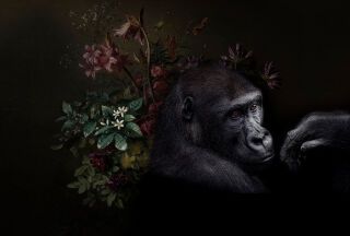 AP Fototapete Walls by Patel, wildlife, Schwarz (DD110626)