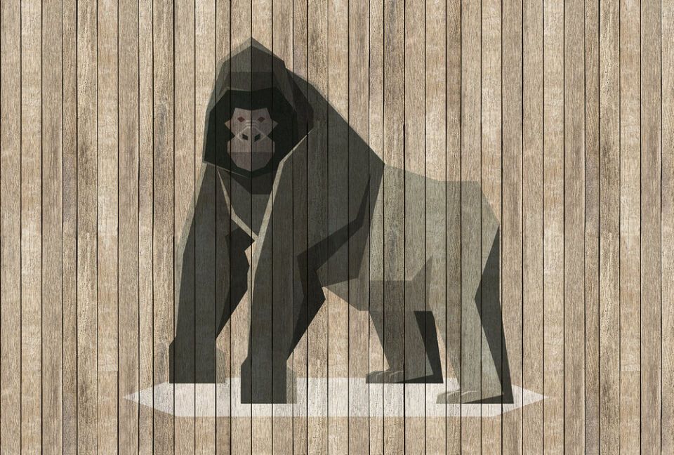 Architects Paper Fototapete Walls by Patel 2