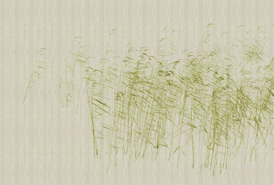 Architects Paper Fototapete Walls by Patel 3