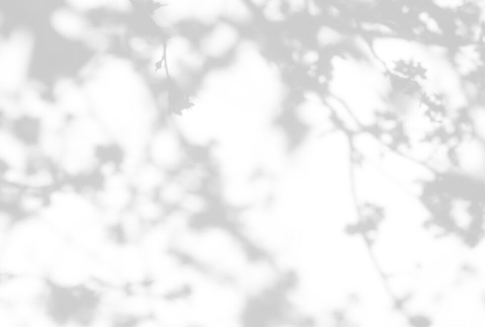 Architects Paper Fototapete Walls by Patel 3