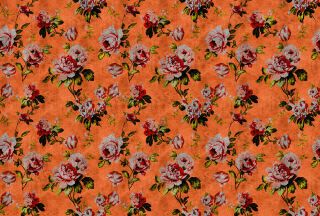 AP Fototapete Walls by Patel 2, Wildroses, Orange (DD113902)