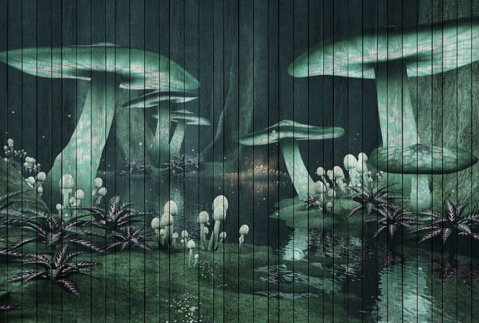 Architects Paper Fototapete Walls by Patel 2