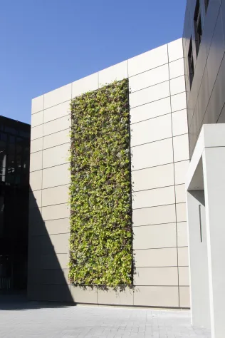 PRO+ SIDING kombiniert mit PRO+ GREEN