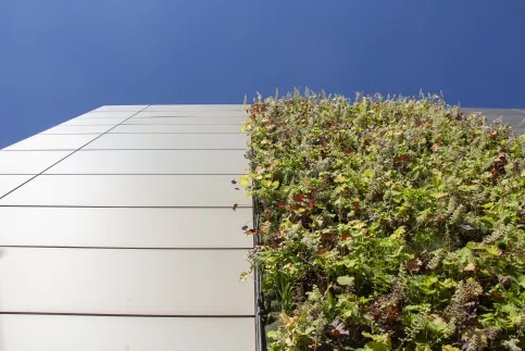 PRO+ SIDING kombiniert mit PRO+ GREEN