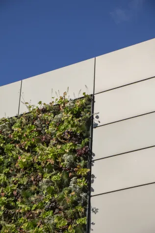 PRO+ SIDING kombiniert mit PRO+ GREEN