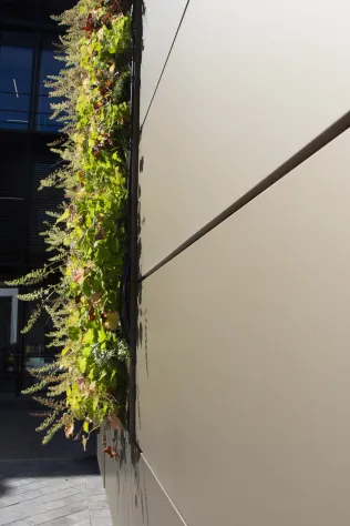PRO+ SIDING kombiniert mit PRO+ GREEN