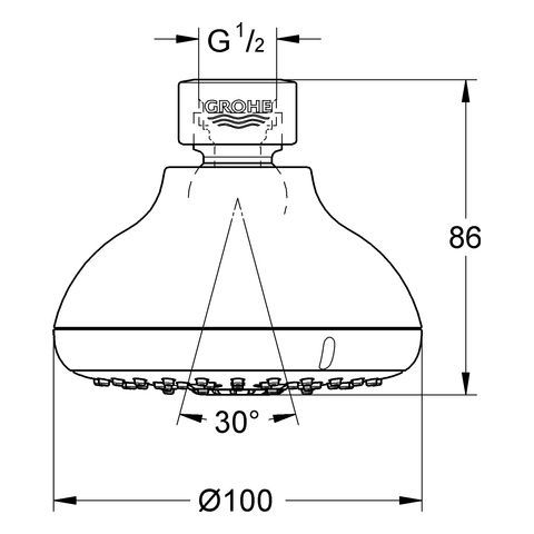 GROHE Tempesta 100 Kopfbrause