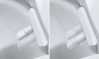 Zwillingsduscharm: Zwei separate Duscharme für Standard-Dusche und Lady-Dusche.