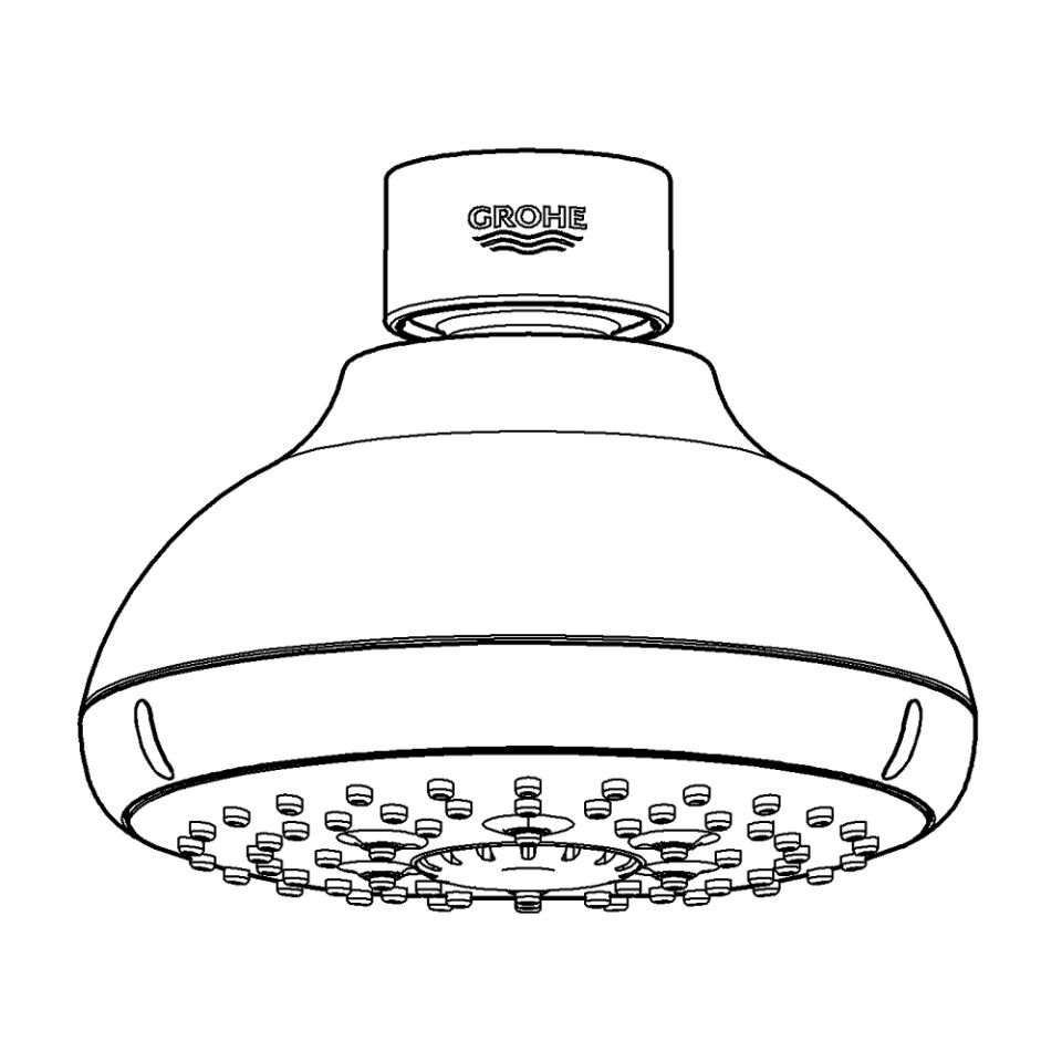 GROHE Tempesta 100 Kopfbrause