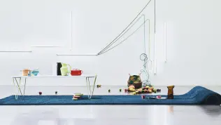 Poodle: Luxuriöser Shag