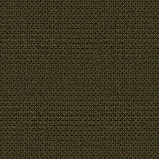 OBJECT CARPET Net Web