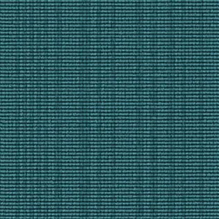 Web Code 446 TUERKIS