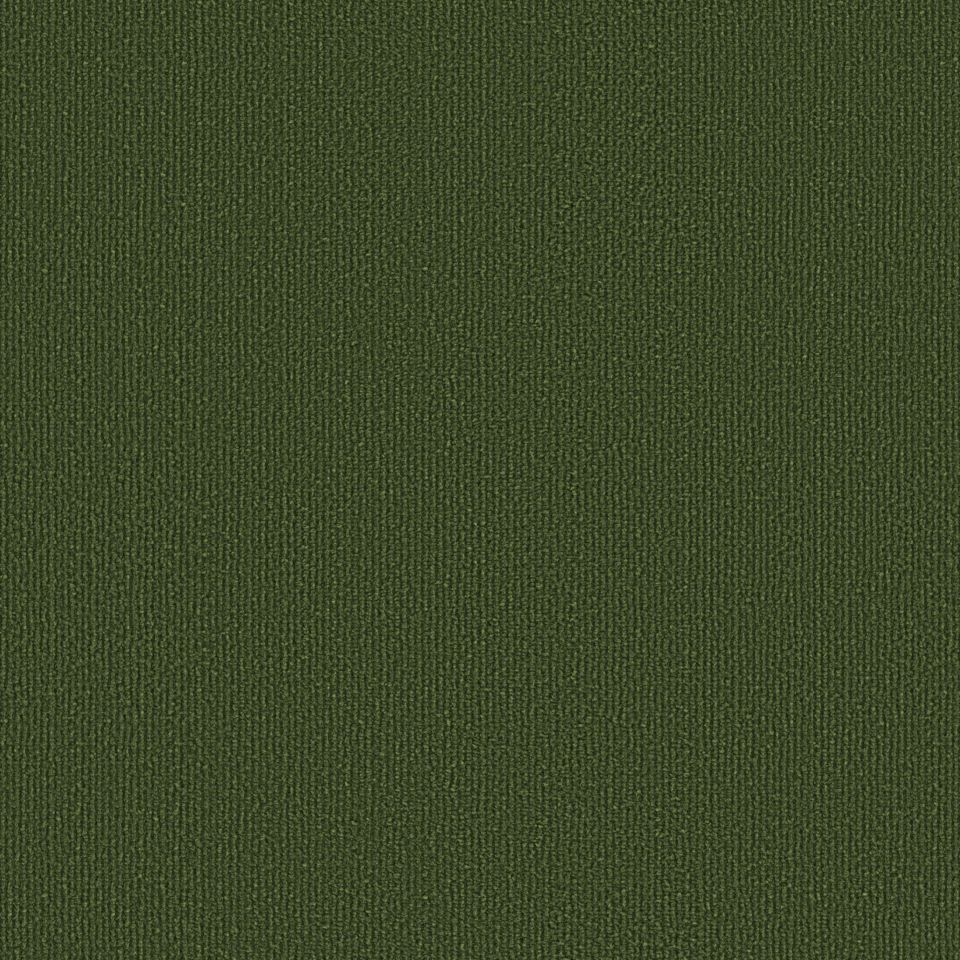 OBJECT CARPET Chicc 900