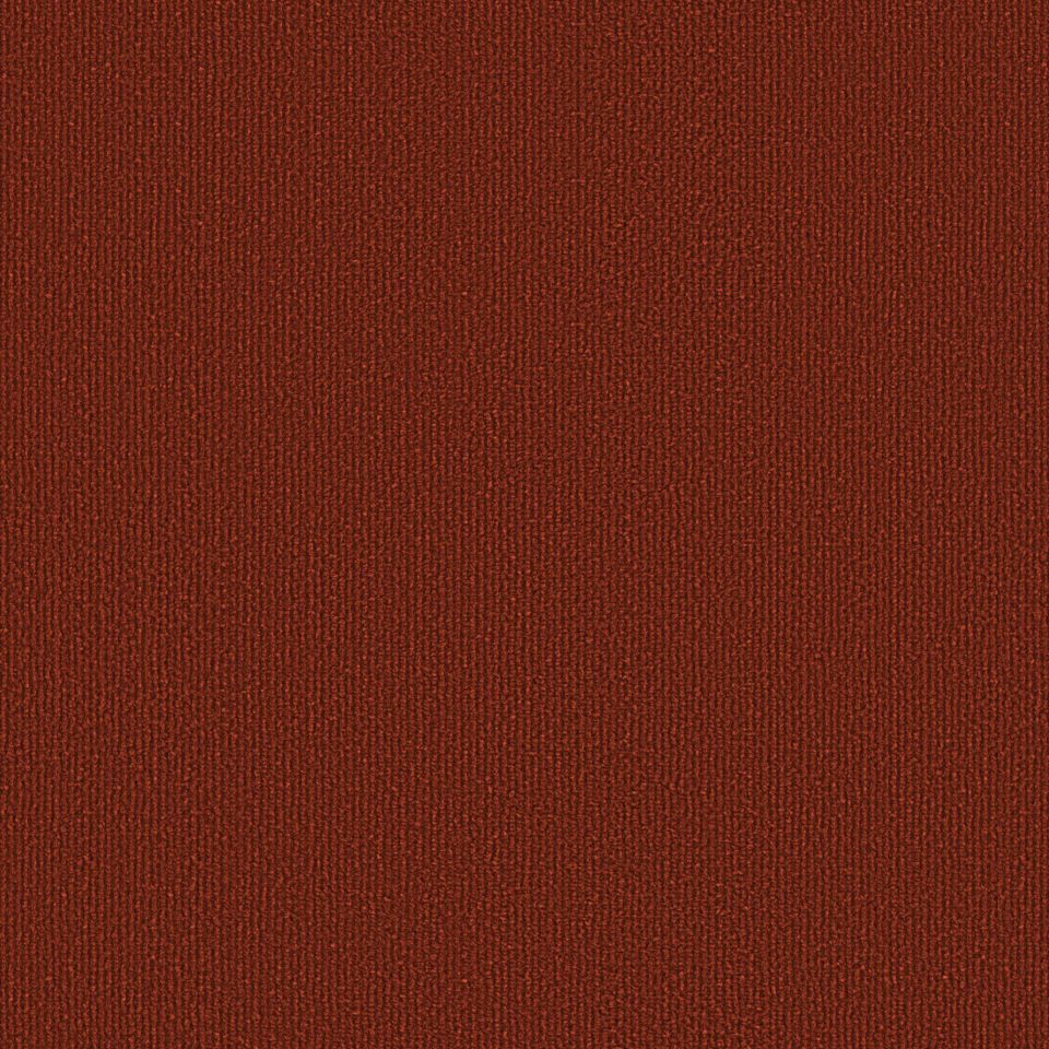 OBJECT CARPET Chicc 900