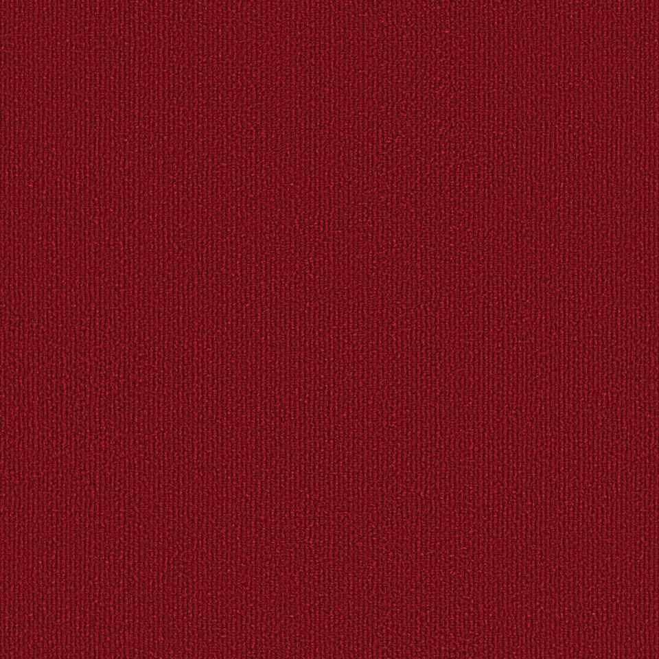 OBJECT CARPET Chicc 900