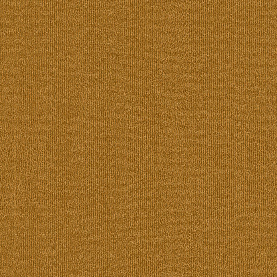 OBJECT CARPET Chicc 900