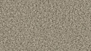 OBJECT CARPET Eddy