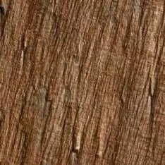 Steineffekt COBRE NEW
