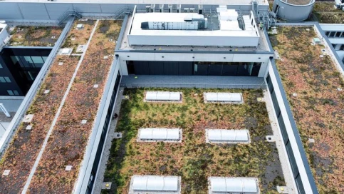 Klimaverbesserer mitten in Berlin: Das weitläufige Retentions-Gründach der Stadler Deutschland GmbH.