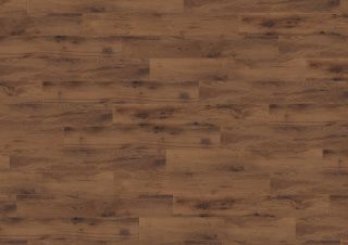 Brown Wild Oak