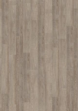 Pallido Oak