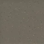 GRAIN HG 484