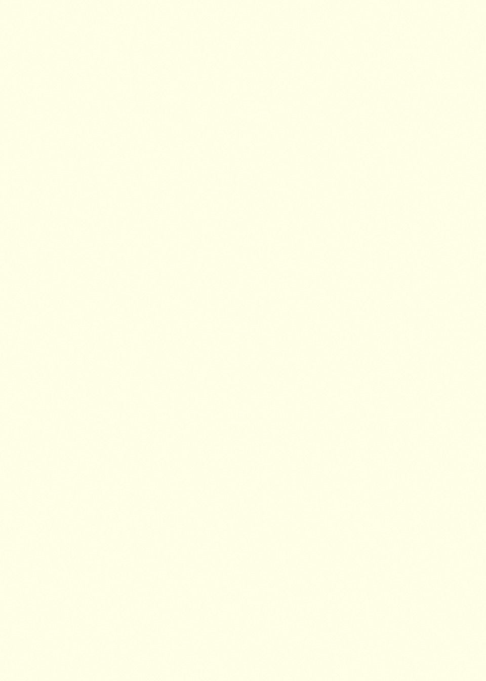 POLYFLOR BLOC PUR POLYFLOR BLOC PUR