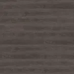 2484 l Cornell Oak