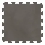 4844 l Iron