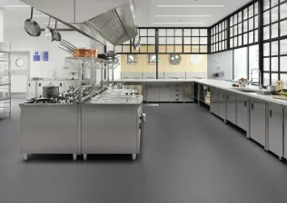 4202 I POLYSAFE APEX