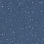 GRAIN HG 521