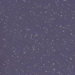 GRAIN HG 524
