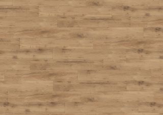 Honey Wild Oak