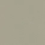 9841 | Moleskin