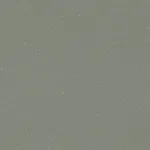 DHARMA 11