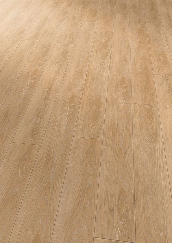 EXPONA SIMPLAY 19dB EXPONA SIMPLAY 19dB