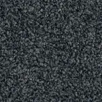 Grey Zone 2597