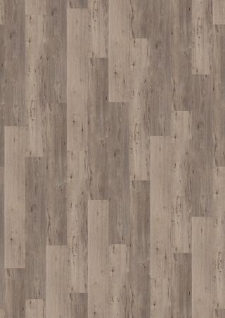Dusky Oak