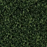 Green Zone 2631