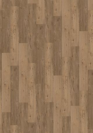 Honey Oak