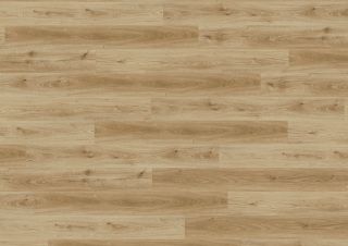 Bayside Oak