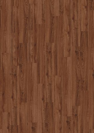 Soil Oak